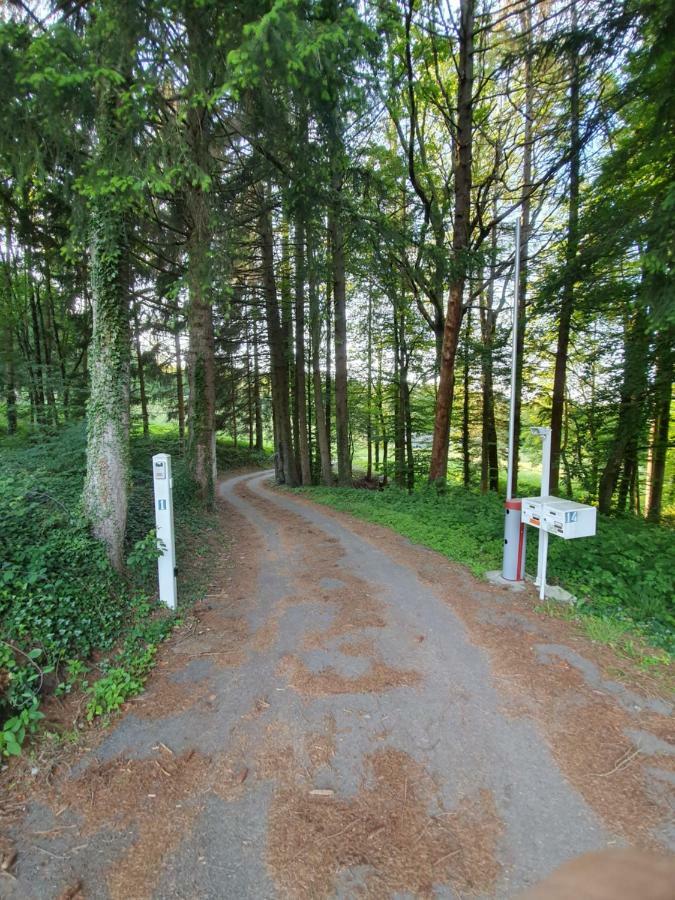 Domaine Du Parc Daire Charvonnex Dış mekan fotoğraf
